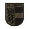 Clawgear Salzburg Shield Patch RAL7013